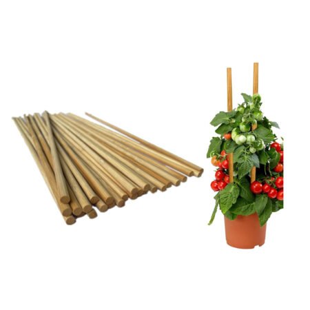 Bamboo Plant Stakes