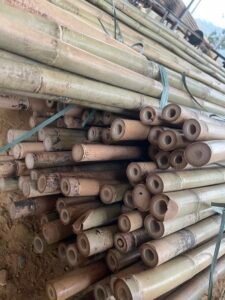 bamboo sticks for farming