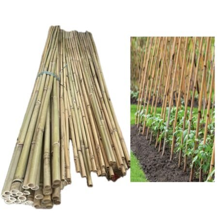 bamboo pole in china