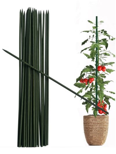 dark green bamboo stick for plants